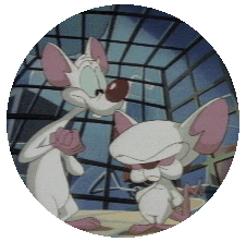 Pinky & the Brain