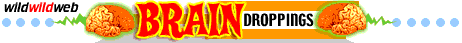 Brain Droppings